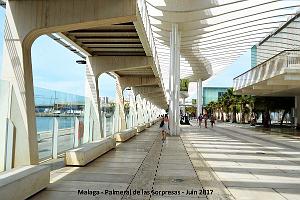 126- Malaga Palmeral Sorpresas